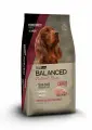 VitalCan Balanced Dog Adult Natural Recipe - Сухой корм для взрослых собак со свининой (3 кг)