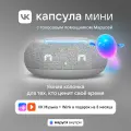 Умная колонка VK Капсула Мини с голосовым помощником Марусей, MRC02, Серая, 3 месяца подписки VK + Wink в подарок
