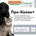 Пробиотик Protexin Veterinary Проколин + для собак и кошек при расстройствах ЖКТ 15 мл