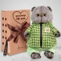 Мягкая игрушка Basik&Co кот Басик в зеленой курточке 19 см, Ks19-185.