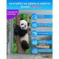 Наклейка интерьерная на дверь Панда на дереве, самоклеющаяся 70х200 см.
