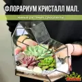 Флорариум с суккулентами Сердце Кристалл мал.