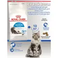 Корм Royal Canin сухой сбалансированный для взрослых длинношерстных кошек, живущих в помещении, Indoor Long Hair, 10 кг.