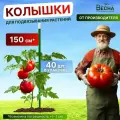Набор садовых колышков Весна(40 шт. по 1.5м) для подвязки томатов, огурцов и других растений