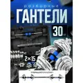 Za-Gym Гантели разборные+штанга в кейсе 30 кг хром (2х15кг)