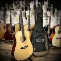 Акустическая гитара Parkwood S61 с чехлом