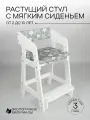 Растущий стул для детей с 2 лет , с мягким сиденьем и подлокотниками