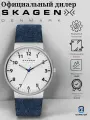 Наручные часы SKAGEN, белый, синий, серебряный