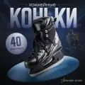 Коньки хоккейные прокатные Winter Star, размер 40, цвет черный