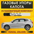 Газовые упоры капота (установочный комплект) для Haval Jolion (2021--) RussoLift