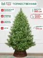 Искусственная елка Торжественная 300 см, 100% литая хвоя, ЕлкиТорг (167300)