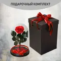 Стабилизированные цветы в стекле, Роза в колбе живая Премиум красная 27x16,5 см c подарочной коробкой, GIFT4YOU
