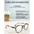 Очки для компьютера LECTIO RISUS LRC003-3 имиджевые защитные