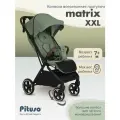 Прогулочная коляска Pituso Matrix, большие колеса, Emerald mood, накидка на ножки, дождевик, москитная сетка