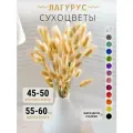 Лагурус Сухоцветы для декор