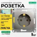 Платина Розетка с/з Glossa Schneider Electric (комплект 9шт)