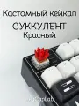 Кейкап для механической клавиатуры кастомный Суккулент Красный