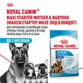 ROYAL CANIN MAXI STARTER 15 кг сухой корм для щенков крупных пород до 2-х месяцев, беременных и кормящих сук