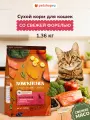 NOW'KITCHEN беззерновой сухой корм для взрослых кошек со свежей форелью, лососем и овощами, Adult Grain-free Recipe, Trout, Salmon, 1.36кг