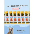 Комплект лакомств TiTBiT для кошек Крем-суп 10г х 48 шт с кусочками лосося