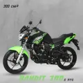 Мотоцикл 300 BANDIT зеленый