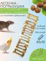 Лесенка погрызушка деревянная для грызунов и средних попугаев и птиц 40х10 см
