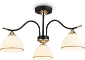 Потолочная люстра Traditional TR3161