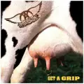 Виниловая пластинка Aerosmith: Get A Grip 180g Vinyl (2 LP)