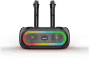 Беспроводная bluetooth караоке система 25W с двумя микрофонами