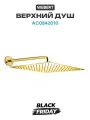 Верхний душ Webert AC0842010 Золото латунь на стену, стильный дизайн