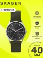 Наручные часы SKAGEN, серебряный