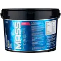 Гейнер для набора сухой мышечной массы MASS 4000 гр (R-Line Sport Nutrition) Малина