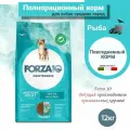 Сухой корм для собак Forza10 MEDIUM ADULT MAINTENANCE средних пород /рыба /12кг