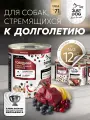 Влажный корм JUST DOG Holistic, для взрослых собак, говядина, груша, черника, брусника, 340г х 12 шт.