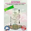 Шпалера опора садовая для растений, ограждение для малины, ежевики, винограда и других вьющихся растений