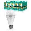 Набор из 10 светодиодных лампочек Camelion LED17-A65/830/E27