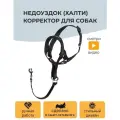Недоуздок (Халти) корректор для дрессировки собак CHOKERZ