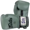 Боксерские перчатки Fairtex BGV11 F-DAY (14 унций)