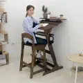Письменный стол (конторка) и барный стул, с регулировкой, комплект, Живи Стоя
