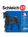 Schleich Horse Club Фигурка Арабский жеребец, для детей от 5 лет, 13981
