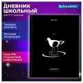Дневник 5-11 класс 48 л, твердый, BRAUBERG, матовая ламинация, с подсказом, Штош, 107190, 2 упаковки