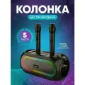 Колонка портативная переносная ZQS 4247 c 2 беспроводными микрофонами/беспроводная караоке система / колонка с микрофоном, USB, AUX, радиоприемником - Акустическая система для ТВ с подсветкой RGB и двумя беспроводными микрофонами P.M.P.O 250 ВТ