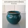 Керамический горшок для суккулентов и кактусов / Керамический горшок для цветов. Зеленый