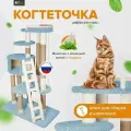 Комплекс для кошек с домиком и лежанкой для кошки когтеточка Мейн Кун Чик голубой
