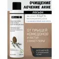 Очищающий лосьон с экстрактом кедра, молочной и салициловой киcлотой BTpeel, 200 мл