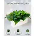 Искусственная трава в ящике для дома и офиса, ПоДар. Ок Home