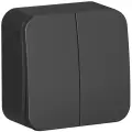 Выключатель двухклавишный антрацит, 10А, 250B, изолир. пластина, Systeme Electric Blanca