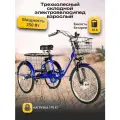 Электровелосипед трехколесный для взрослых РВЗ Чемпион (СКЛАДНОЙ), синий 250,10