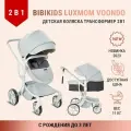 Детская коляска трансформер 2 в 1 Bibikids Voondo для новорожденных