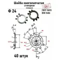 Шайба Ф24 многолапчатая ГОСТ 11872, DIN 5406 сталь 40 шт